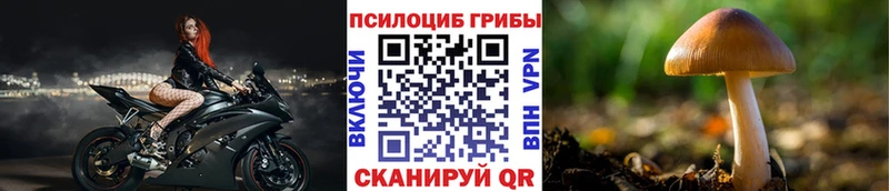Галлюциногенные грибы мухоморы  купить закладку  Нерюнгри 