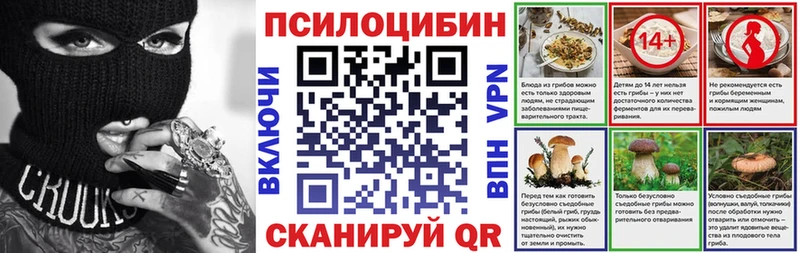 Галлюциногенные грибы Psilocybe Нерюнгри